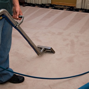 Полезные советы по чистке ковров